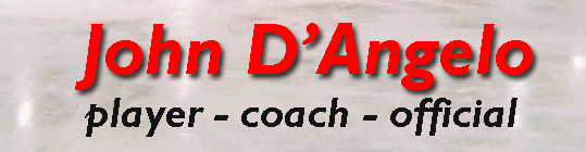John D'Angelo Player coach official